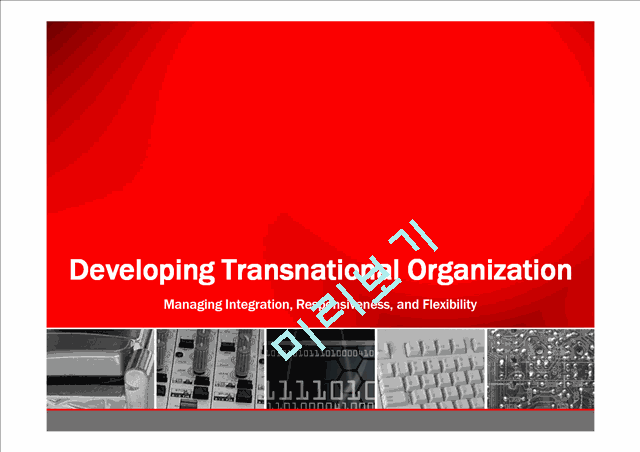 Developing Transnational Organization,Managing Integration, Responsiveness, and Flexibility   (1 )